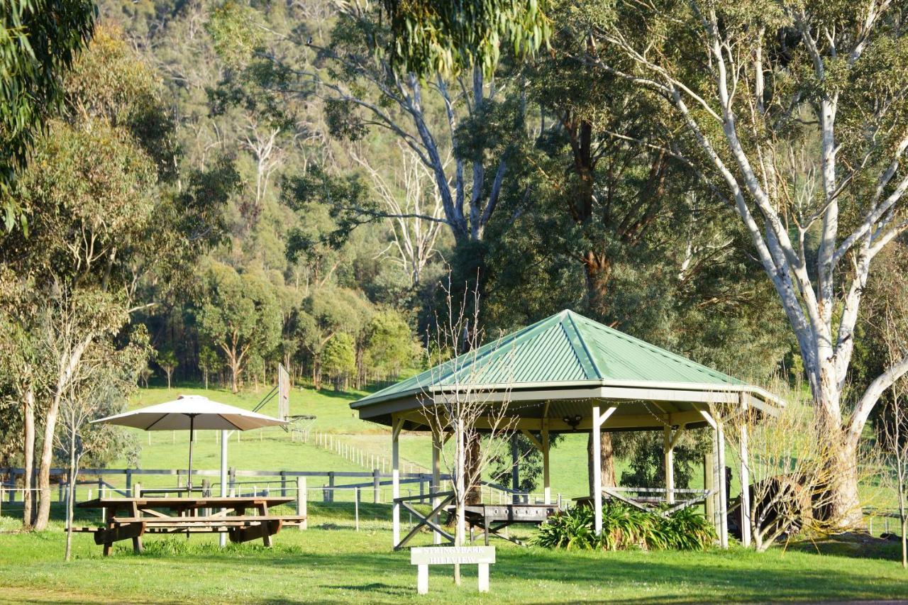 Halls On Falls Homestead Strath Creek Exterior photo